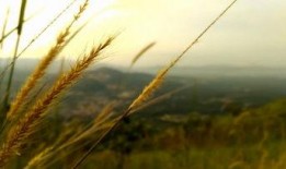 风景视频爆料大全最新下载,绝美风光一网打尽